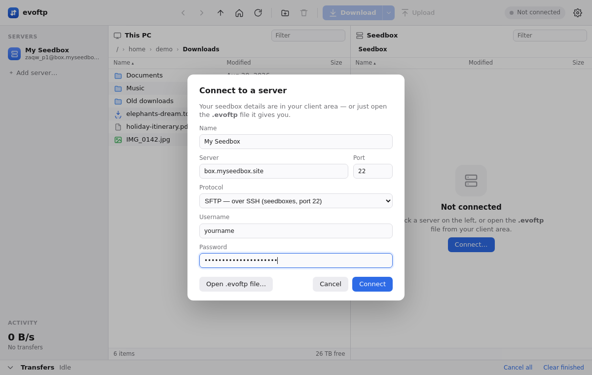 The Connect to a server dialog in evoftp with Name, Server, Port, Protocol, Username and Password fields